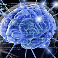 НАЙБІЛЬША ТАЄМНИЦЯ ЛЮДСЬКОГО МОЗКУ РОЗГАДАНА  ВЧЕНІ