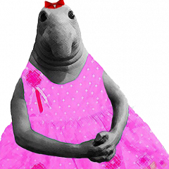О