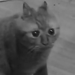 Полон оптимизма