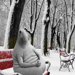 Зимний ждун
