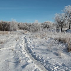 Алексинтульскаяобластьрв