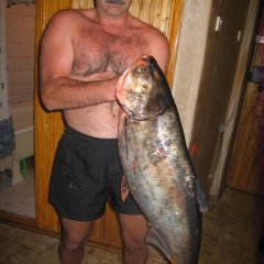 Батя барсука с рыбой