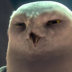 Борон в подозрении