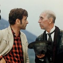 Двенадцать стульев