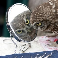 Хватит мне портить жизнь мудила