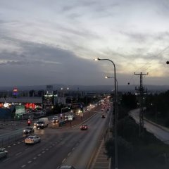 Кацечка в Афуле