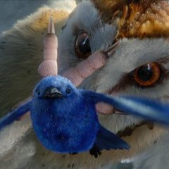 КЛУД ЛОВИТ ПТИЦУ