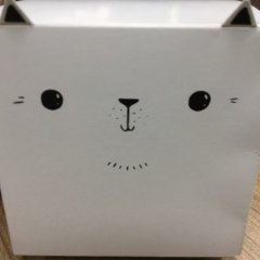 Кот