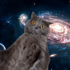 Котэ