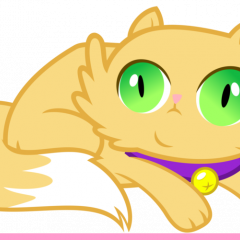 Коттттттттттттттттттттттт