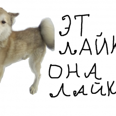 Лайка