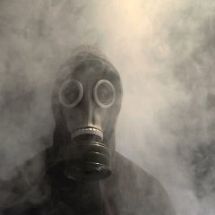 Мистер выходит из тумана