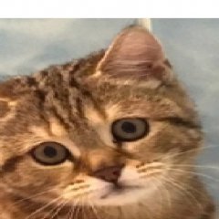 Ты совсем еблан