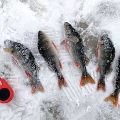 Все