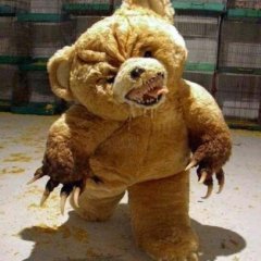 Злой Мишка