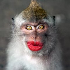 8 марта