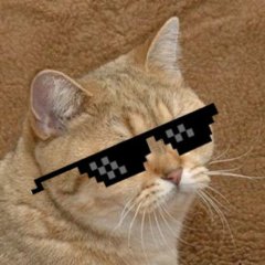 Котэ