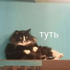 Настя где вся еда с холодильника