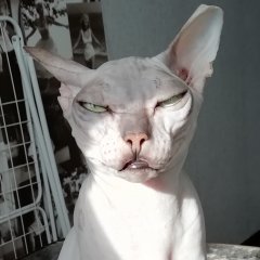 Ну И хули