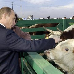 П