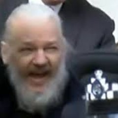 Assange