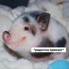 Ффф