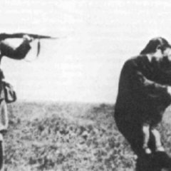 Фоточки