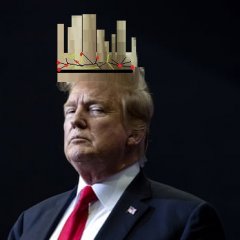 Король трамп