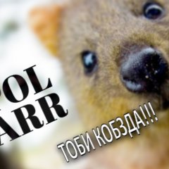 ТОБИ КОБЗДА