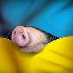 Украина