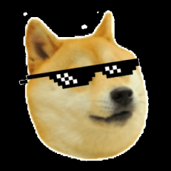 Данк доги