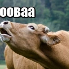 Ферма окрина где все мычать-на мове