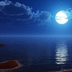 Лунная ночь