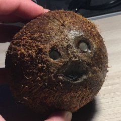 Наркоман чтоле сука