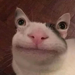 ЫГЫГЫГЫГЫГЫГЫГ