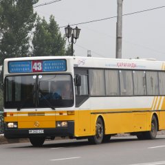Безумная караганда григорян
