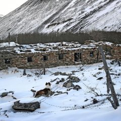 Чаунлаг - Бутугычаг