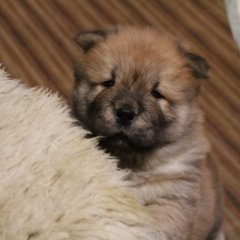 Думаете спрятались Сейчас запрыгну сейчас залезу