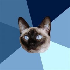 КОТ