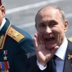 Медведь2
