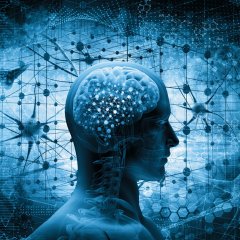 Mind