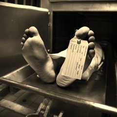 Полочки
