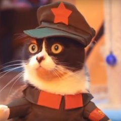 Шта