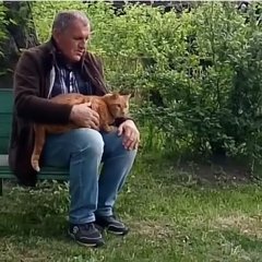 Шум