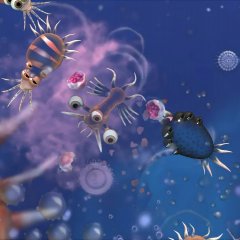 Spore