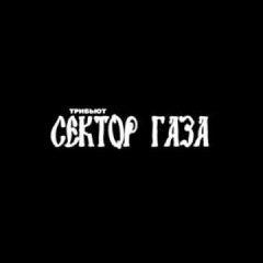 Группа Сектор Газа
