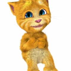 Кот Джинджер