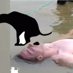Краска
