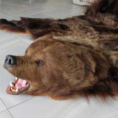Мишка