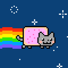 Нян кэт